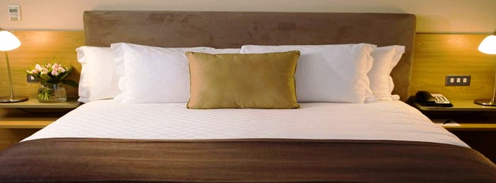 2501/Hotel Parvati Palace - Sehore 04.jpg